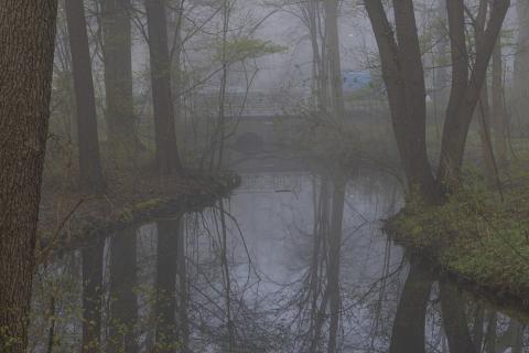 Photograph by Scott Joyce