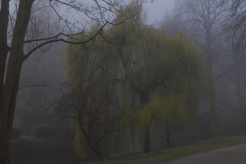 Photograph by Scott Joyce