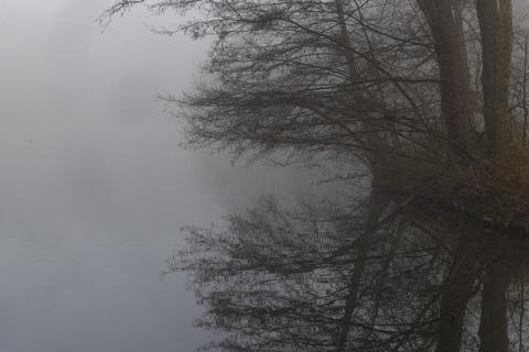 Photograph by Scott Joyce