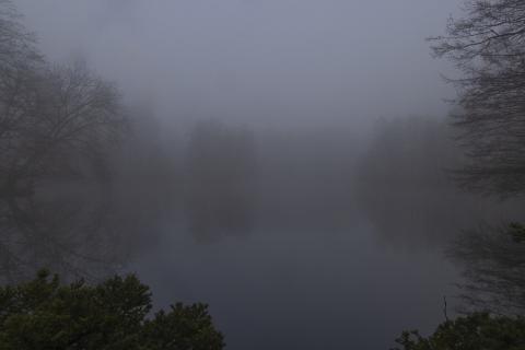 Photograph by Scott Joyce