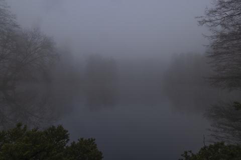 Photograph by Scott Joyce