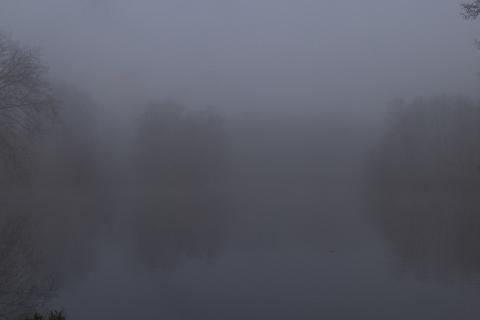 Photograph by Scott Joyce