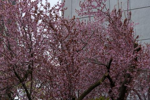 Photograph by Scott Joyce