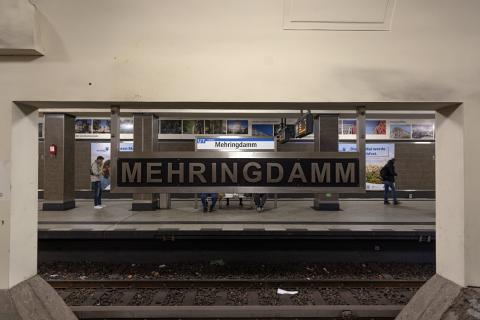 Photograph by Scott Joyce