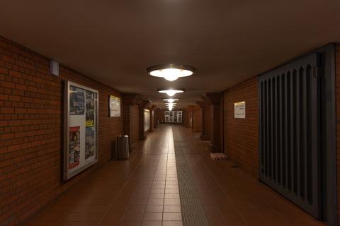 Photograph by Scott Joyce