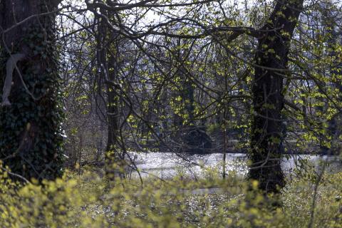 Photograph by Scott Joyce