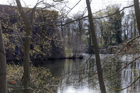 Photograph by Scott Joyce