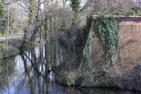 Photograph by Scott Joyce