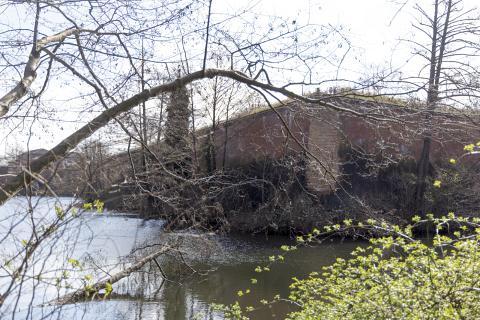 Photograph by Scott Joyce