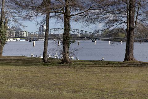 Photograph by Scott Joyce