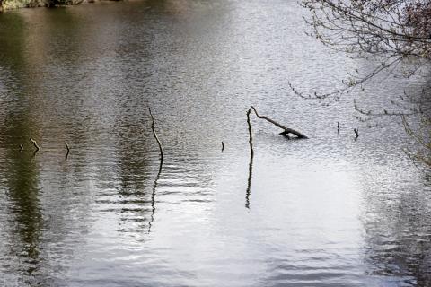 Photograph by Scott Joyce