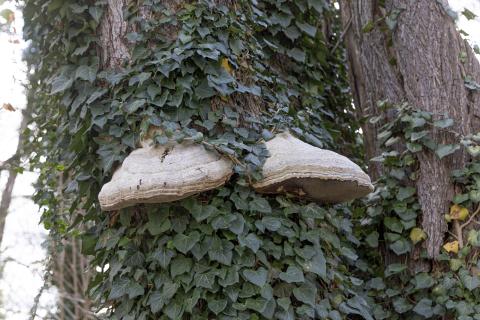 Photograph by Scott Joyce