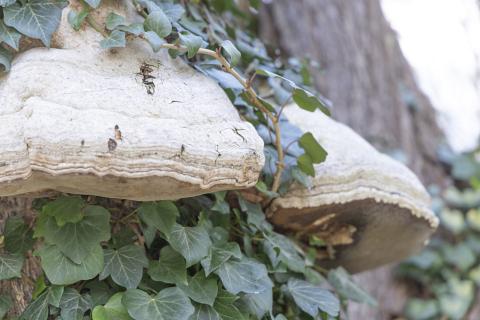 Photograph by Scott Joyce