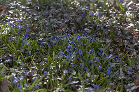 Photograph by Scott Joyce