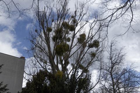 Photograph by Scott Joyce