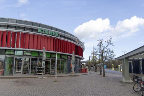 Photograph by Scott Joyce