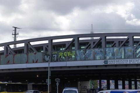 Photograph by Scott Joyce