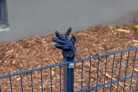 Photograph by Scott Joyce