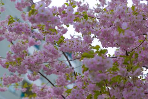 Photograph by Scott Joyce