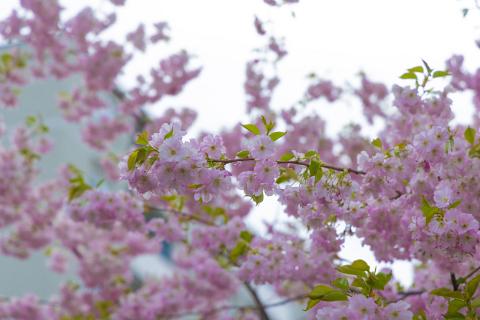 Photograph by Scott Joyce