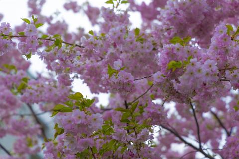 Photograph by Scott Joyce