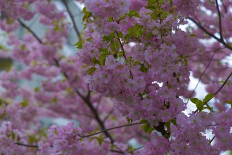 Photograph by Scott Joyce