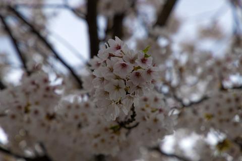 Photograph by Scott Joyce