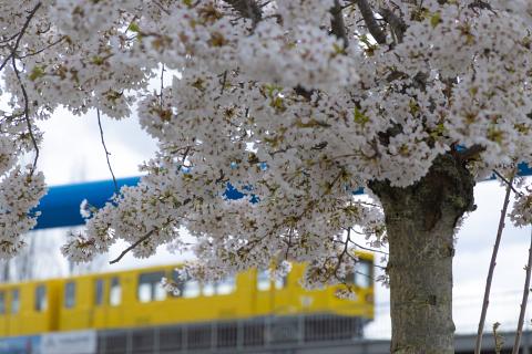 Photograph by Scott Joyce