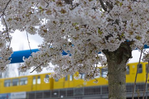 Photograph by Scott Joyce