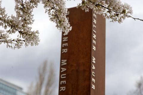 Photograph by Scott Joyce