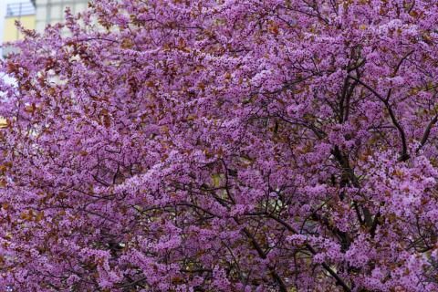 Photograph by Scott Joyce