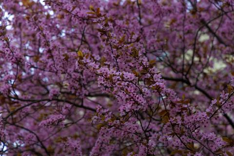 Photograph by Scott Joyce