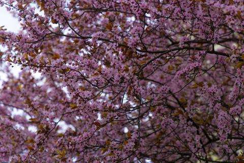 Photograph by Scott Joyce