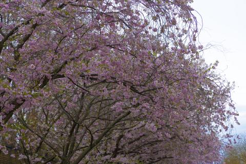 Photograph by Scott Joyce