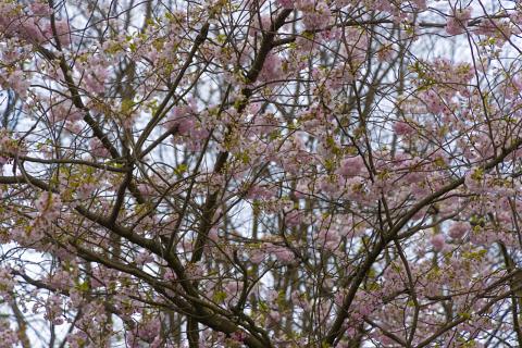 Photograph by Scott Joyce