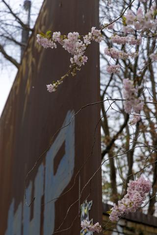 Photograph by Scott Joyce