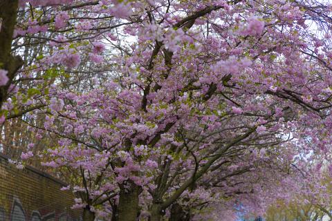 Photograph by Scott Joyce