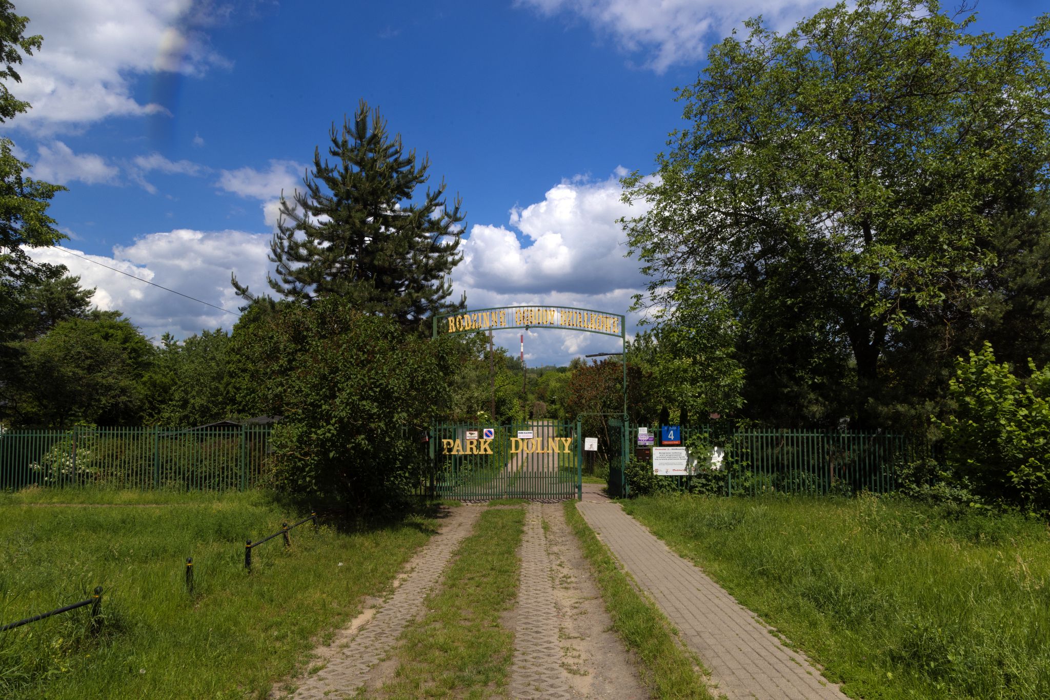 Large image