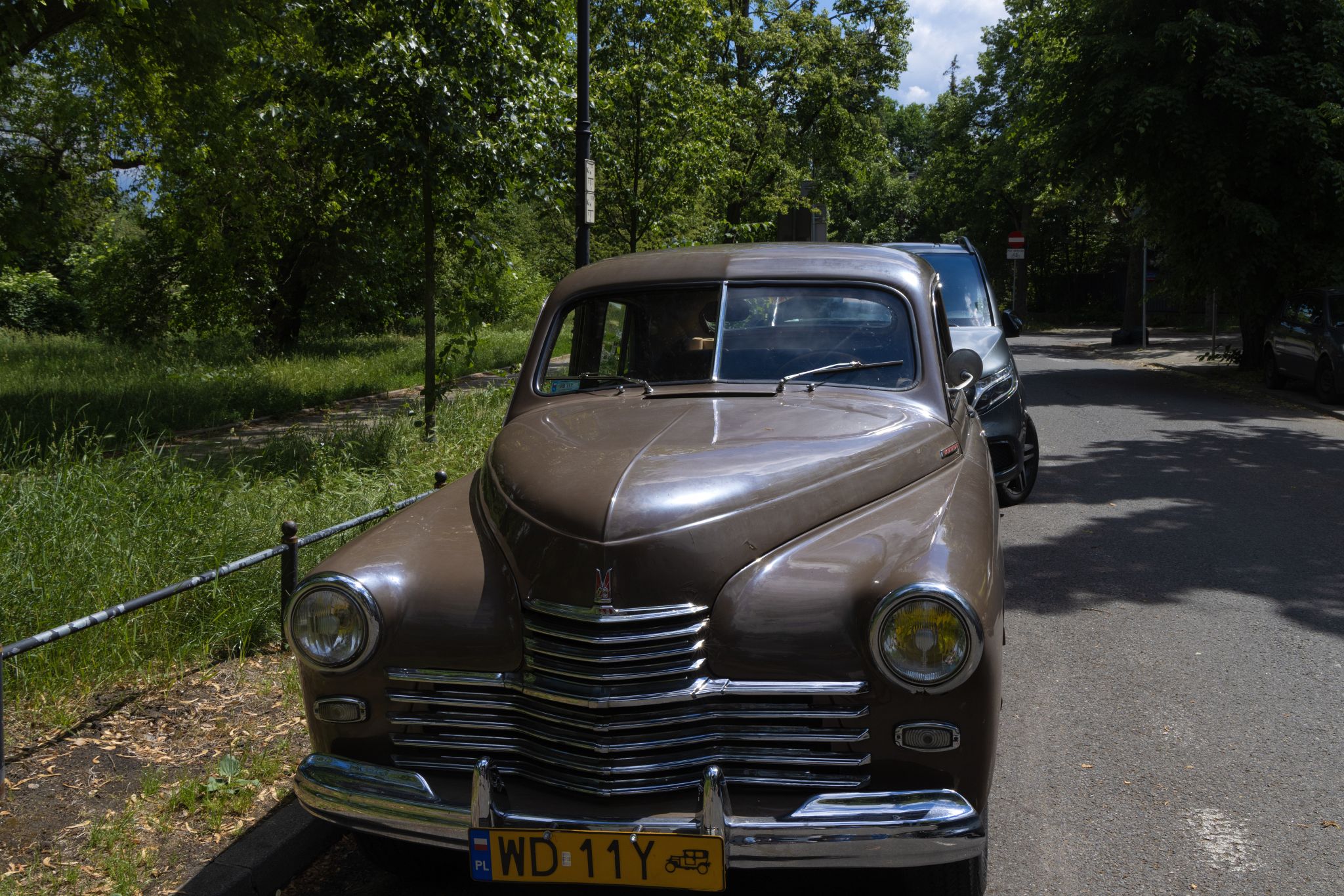 Large image