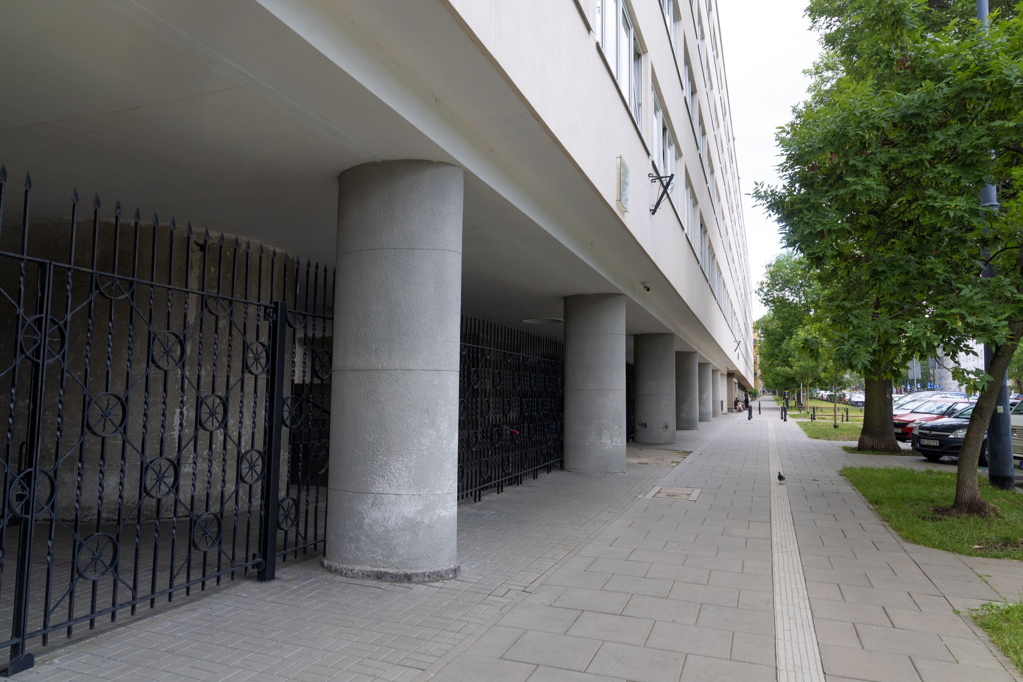 Large image