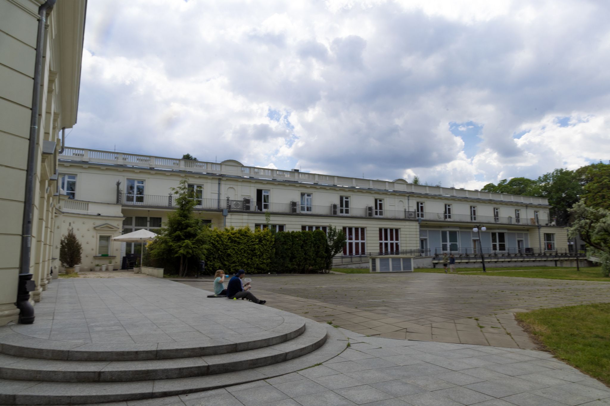 Large image