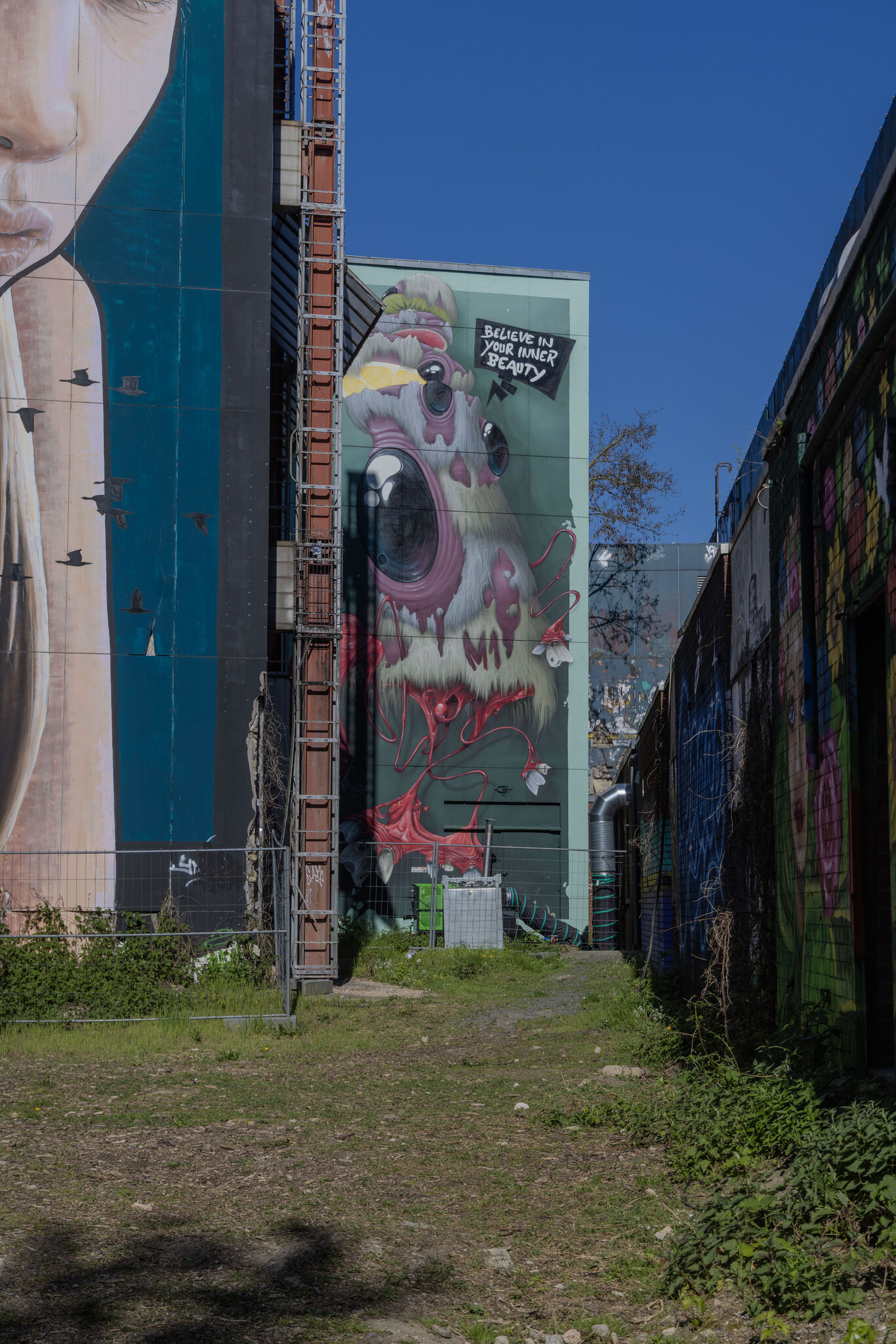 Large image