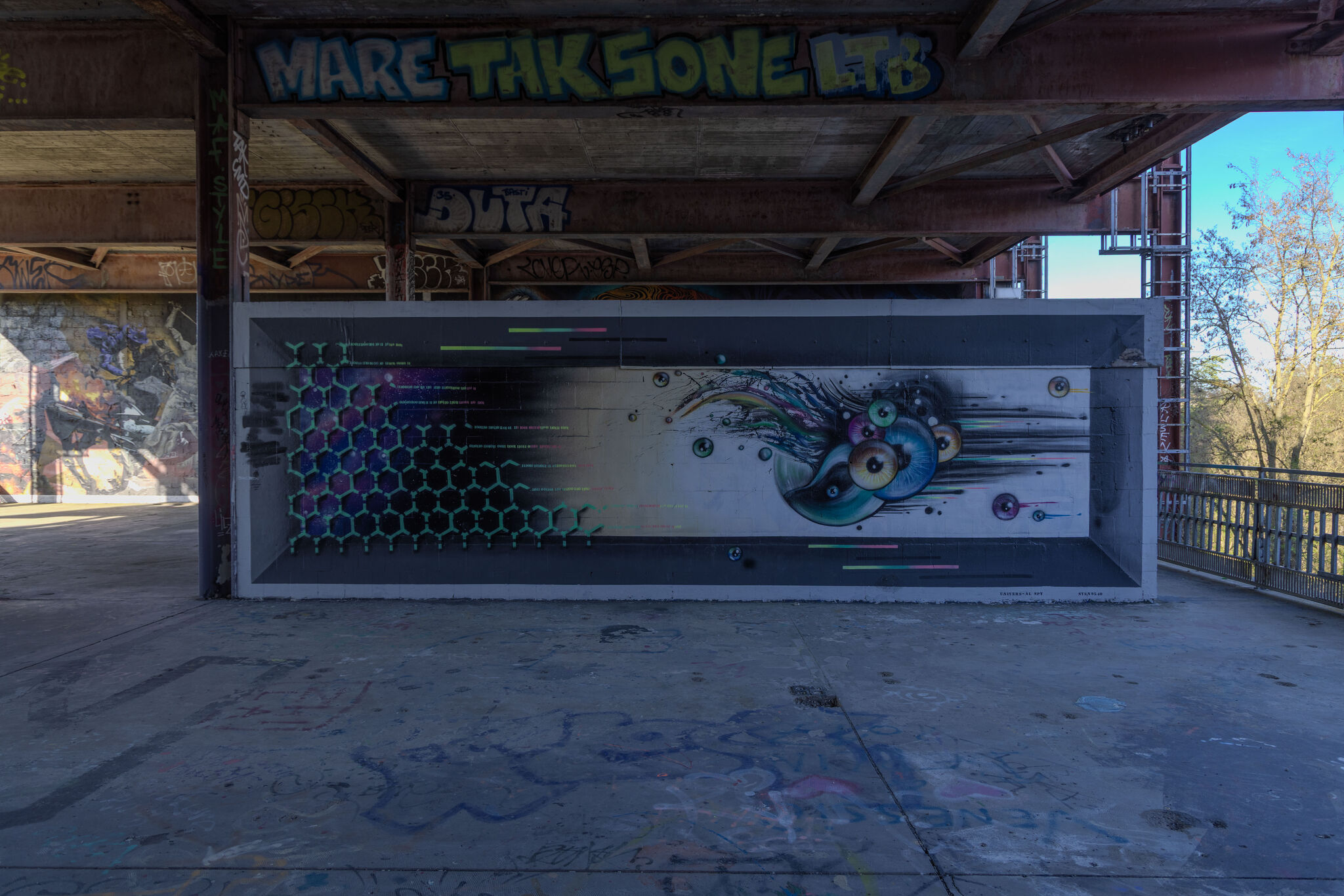 Large image