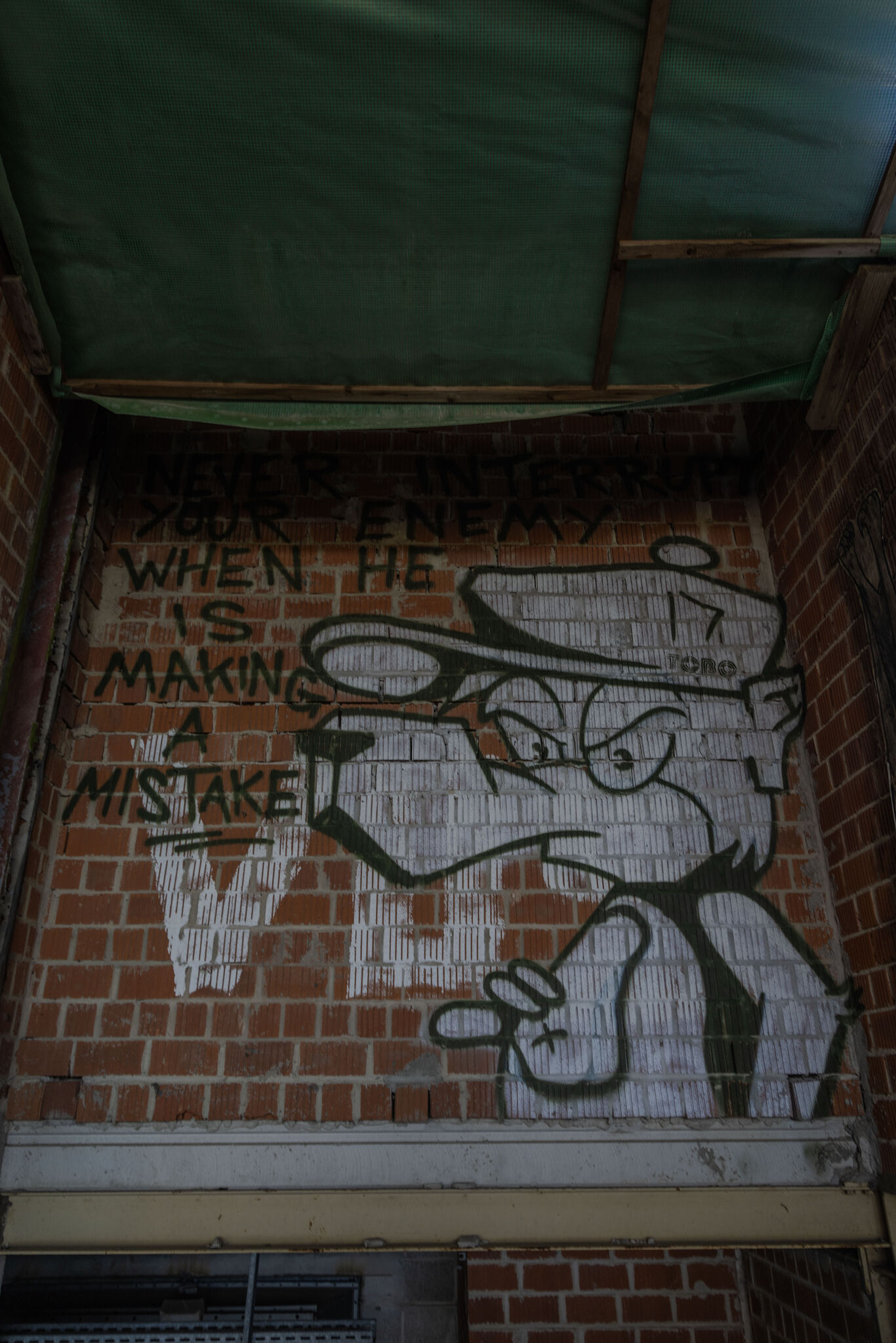Large image