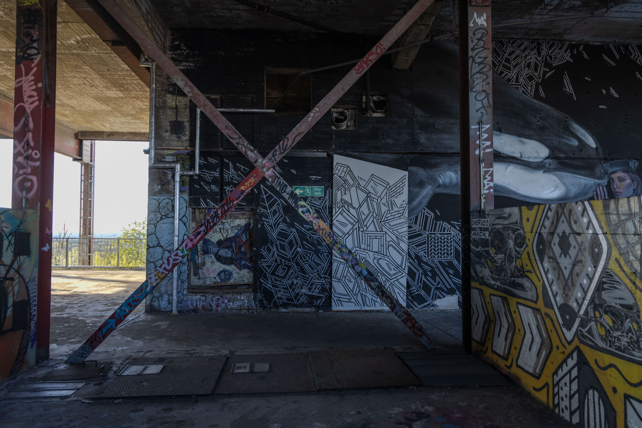 Large image