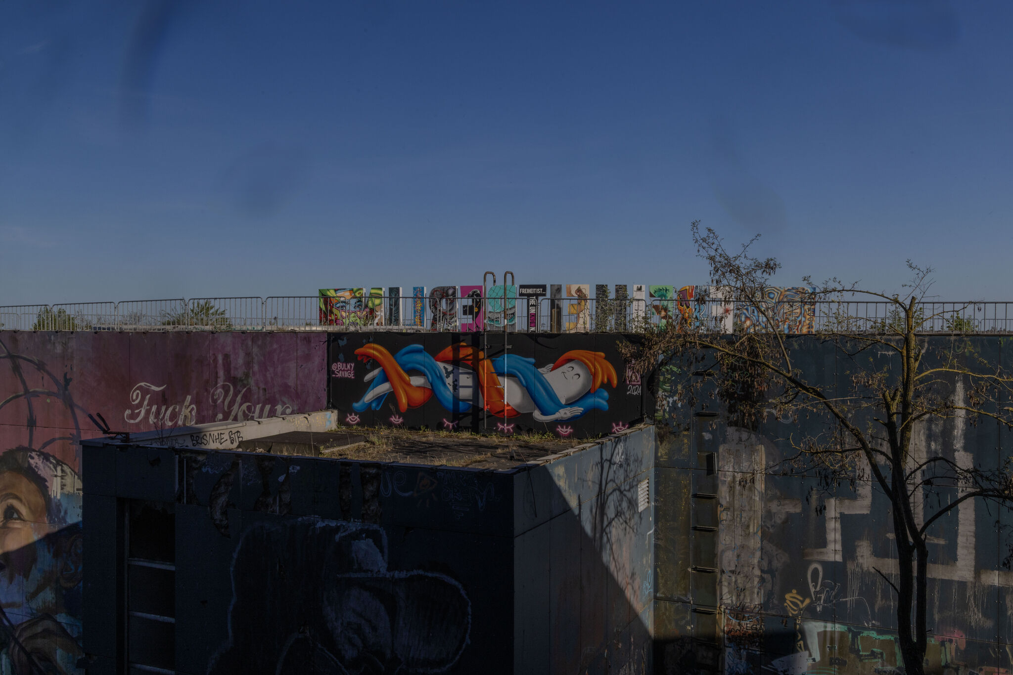 Large image