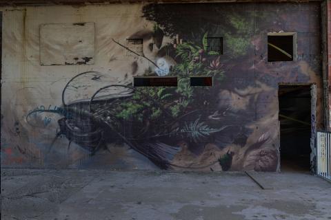 Photograph by Scott Joyce