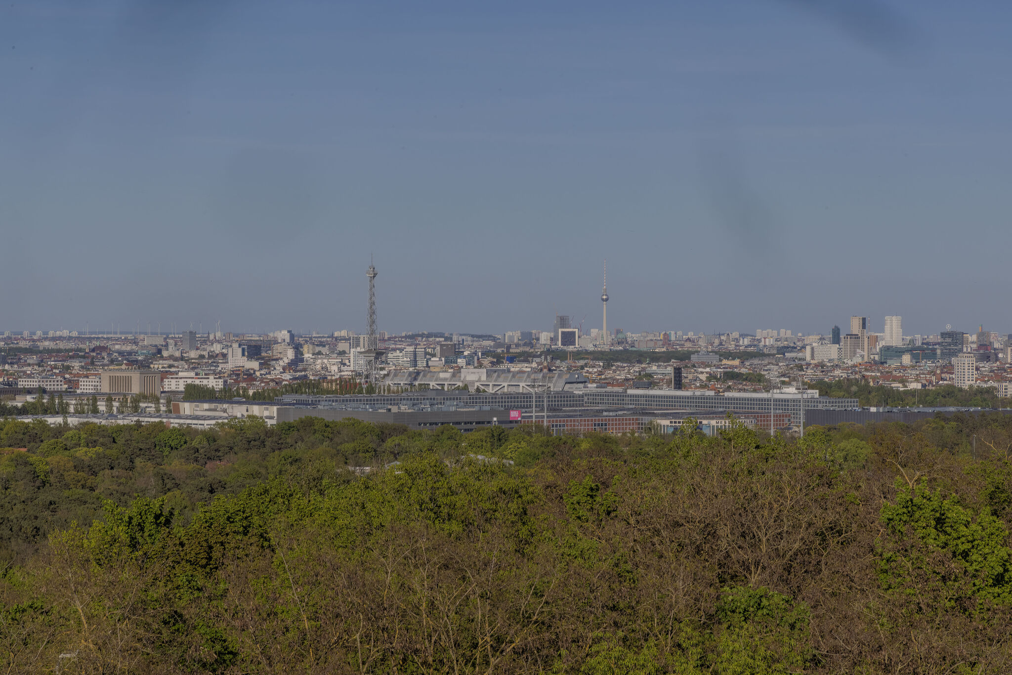Large image