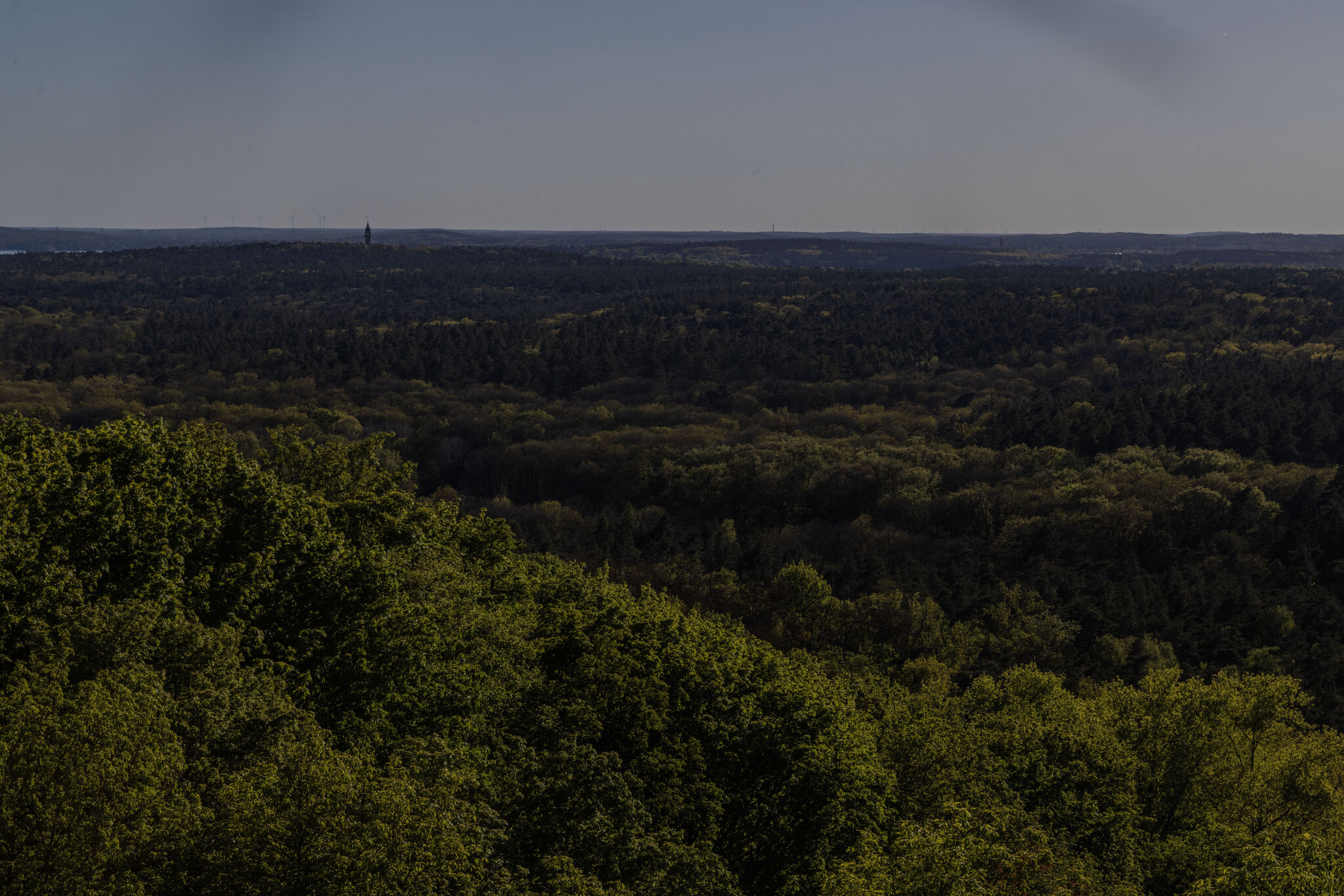 Large image