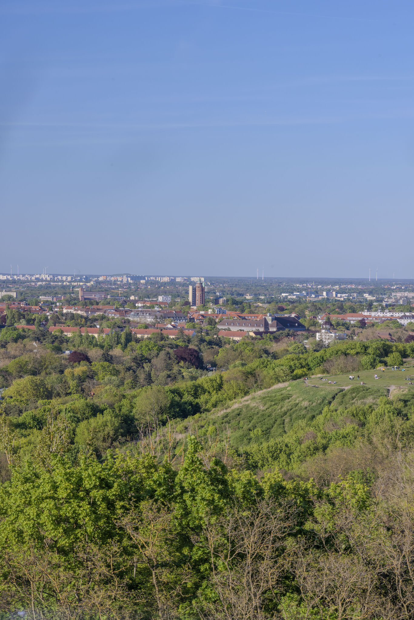 Large image
